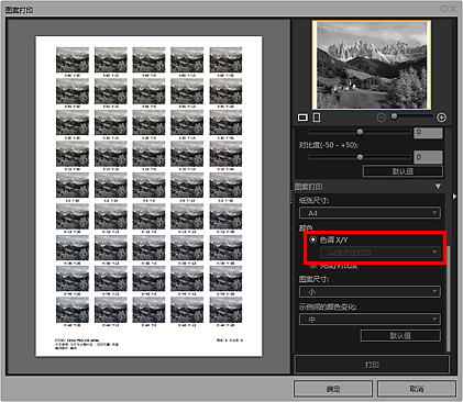 插图：&ldquo;图案打印&rdquo;窗口