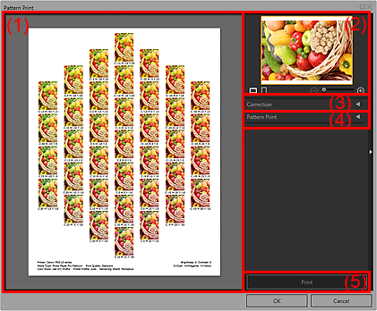 figure: Pattern Print window