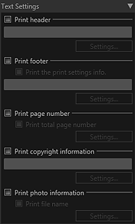 figure: Text Settings of Settings area (Layout)