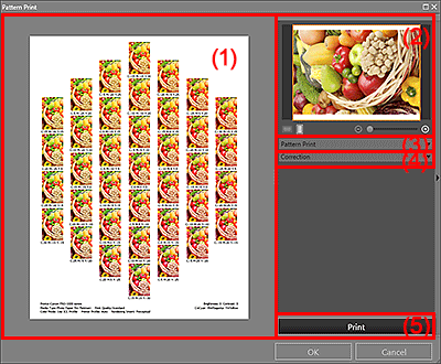 figure: Pattern Print window