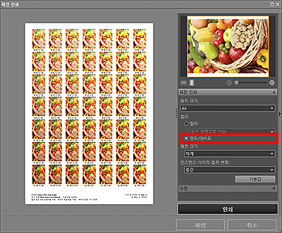 그림: [패턴 인쇄] 창