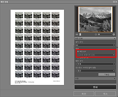 그림: [패턴 인쇄] 창