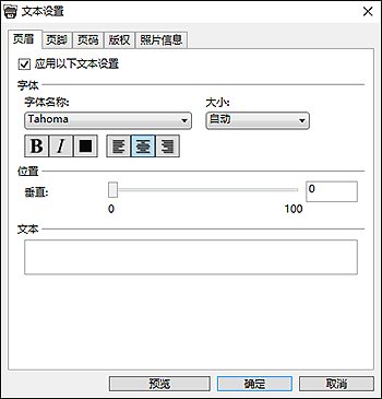 插图：“文本设置”对话框