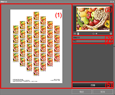 插图：“图案打印”窗口