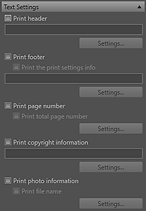 figure: Text Settings of Settings area (Layout)