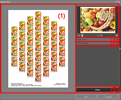 figure: Pattern Print window