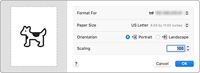 figure:Page Setup dialog