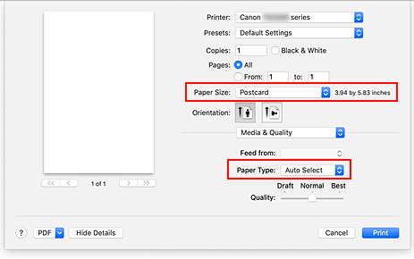 figura: Tamanho do papel e Tipo de papel na caixa de diálogo de impressão