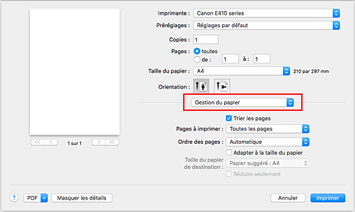 figure&nbsp;:&nbsp;Gestion du papier dans la boîte de dialogue Imprimer