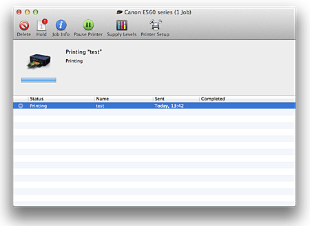 figure:Printing status screen