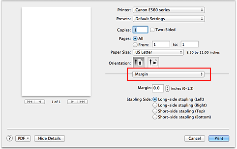 figure:Margin in the Print dialog
