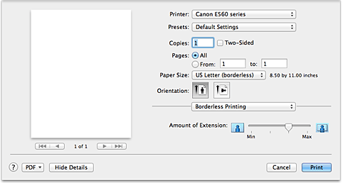 figure:Borderless Printing in the Print dialog