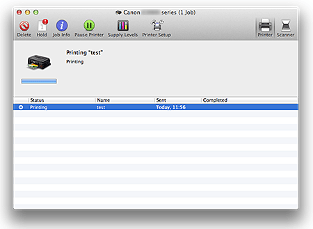 figure:Printing status screen