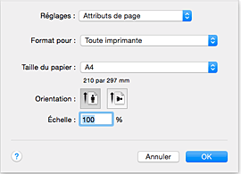 figure : Boîte de dialogue Configuration de la page