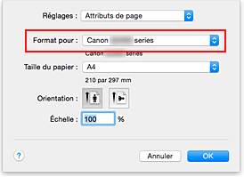 figure : Format pour les attributs de page de la Boîte de dialogue Configuration de la page