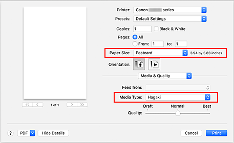 Imagen: Tamaño de página y tipo de soporte en el diálogo de impresión
