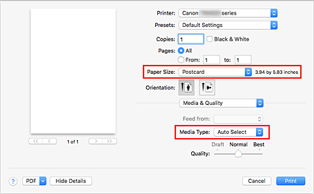 figura: Formato carta e Tipo di supporto nella finestra di dialogo Stampa