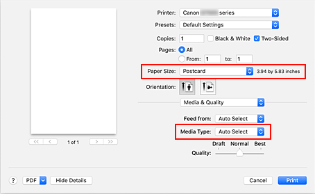 figure: Paper Size and Media Type in the Print dialog