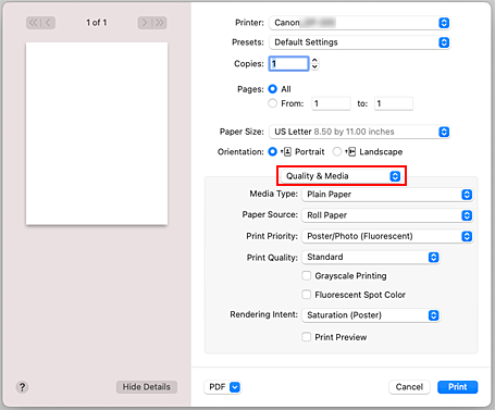 Abbildung: "Qualität und Medium" im Dialog "Drucken"