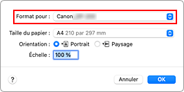 figure : Format pour les attributs de page de la Boîte de dialogue Configuration de la page