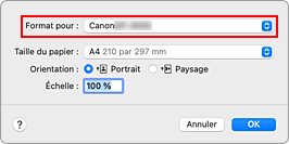 figure&nbsp;: Format pour les attributs de page de la Boîte de dialogue Configuration de la page