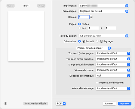 figure : Paramètres avancés du papier dans la boîte de dialogue Imprimer