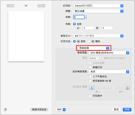 插图：打印对话框中的“页码处理”