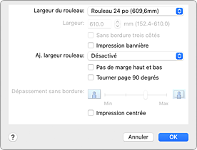 figure : Traitement de la page dans la boîte de dialogue Imprimer