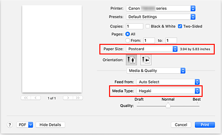 figure: Paper Size and Media Type in the Print dialog