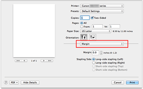 figure:Margin in the Print dialog