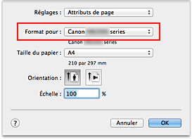 figure : Format pour les attributs de page de la Boîte de dialogue Configuration de la page