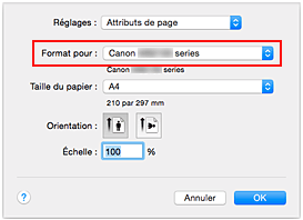 figure : Format pour les attributs de page de la Boîte de dialogue Configuration de la page