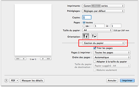 figure : Gestion du papier dans la boîte de dialogue Imprimer