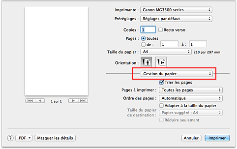 figure : Gestion du papier dans la boîte de dialogue Imprimer