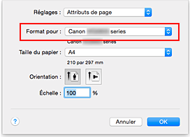 figure : Format pour les attributs de page de la Boîte de dialogue Configuration de la page