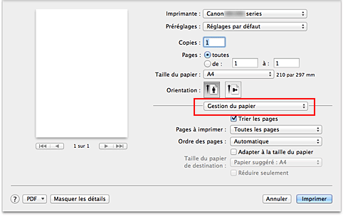 figure : Gestion du papier dans la boîte de dialogue Imprimer