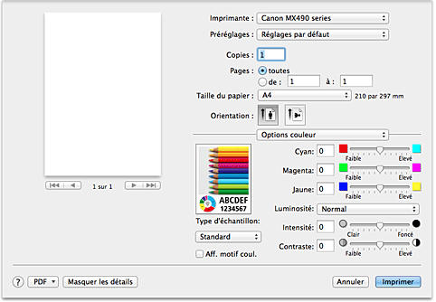 figure : Options couleur dans la boîte de dialogue Imprimer