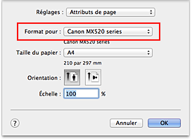 figure : Format pour les attributs de page de la Boîte de dialogue Configuration de la page
