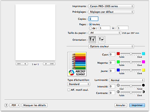 figure : Options couleur dans la boîte de dialogue Imprimer