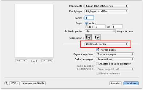 figure : Gestion du papier dans la boîte de dialogue Imprimer