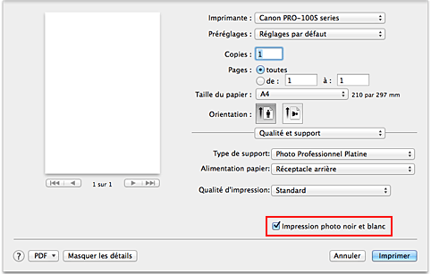 figure : option Impression photo noir et blanc sous Qualité et support dans la boîte de dialogue Imprimer