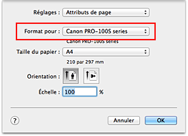 figure : Format pour les attributs de page de la Boîte de dialogue Configuration de la page