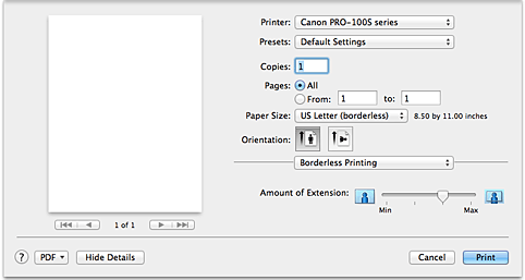 figure:Borderless Printing in the Print dialog