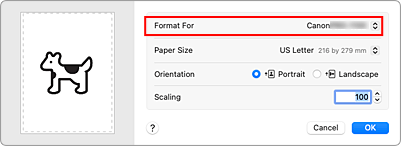 figure:Format For of Page Attributes in the Page Setup dialog