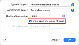 figure&nbsp;: option Impression photo noir et blanc sous Qualité et support dans la boîte de dialogue Imprimer