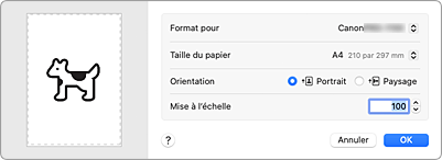 figure&nbsp;: Boîte de dialogue Configuration de la page