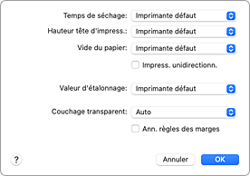 figure : Paramètres avancés du papier dans la boîte de dialogue Imprimer