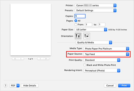 figur: Papirkilde for kvalitet og medier i dialogboksen for utskrift