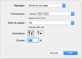 figure&nbsp;: Boîte de dialogue Configuration de la page