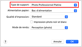 figure&nbsp;:&nbsp;Type de support dans Qualité et support de la boîte de dialogue Imprimer